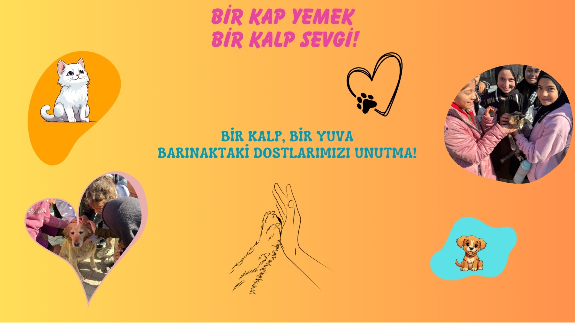 Bir Kalp Bir Yuva: Barınaktaki Dostlarımızı Unutma